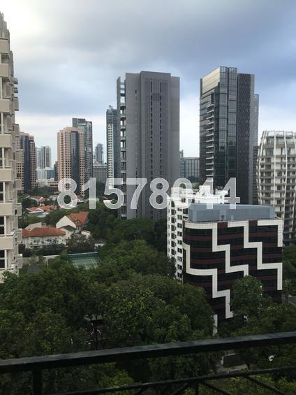 Spring Grove (D10), Condominium #114795532
